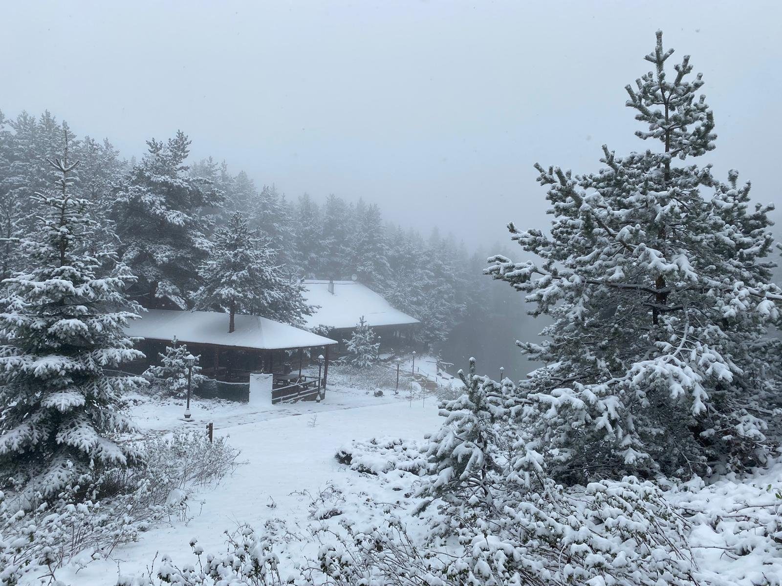Click to enlarge snow