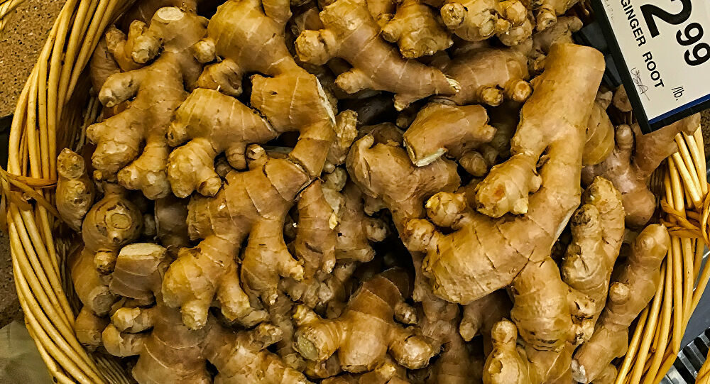 Ginger gengibre