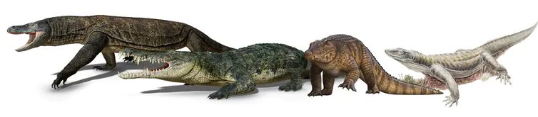 Click to enlarge Mega-reptiles