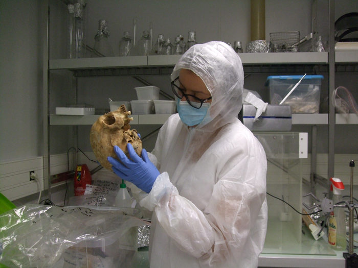 skull