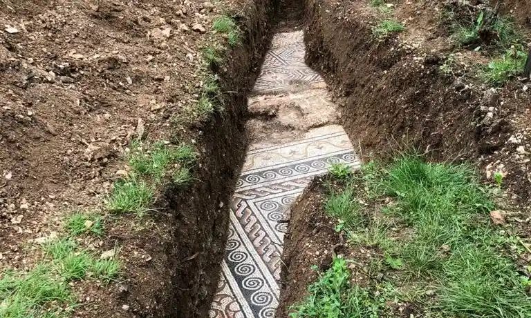 roman mosaic vines