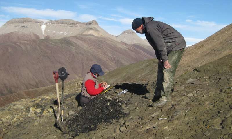 Click to enlarge archeology