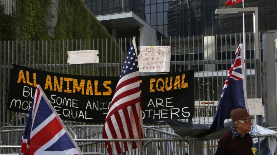 animal farm protest orwell quote