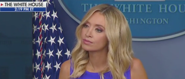 Kayleigh McEnany