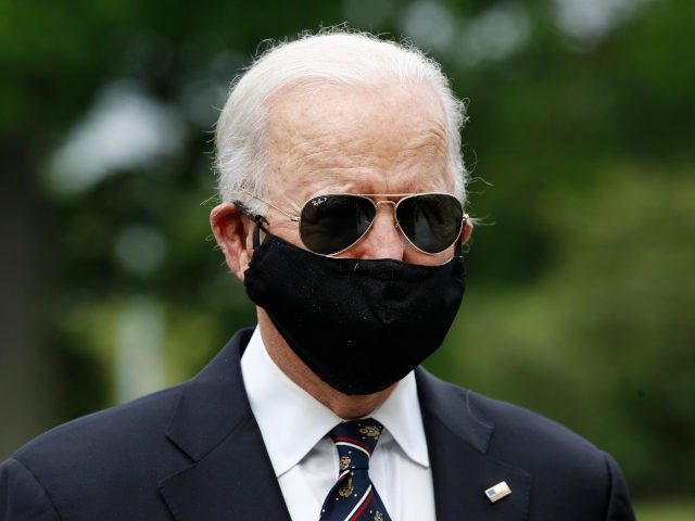 Click to enlarge Joe Biden mask