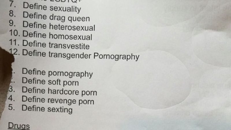 Pornographic homework