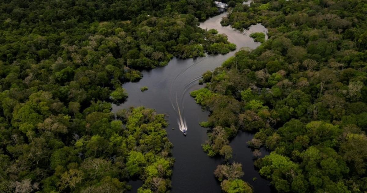 Forest and River