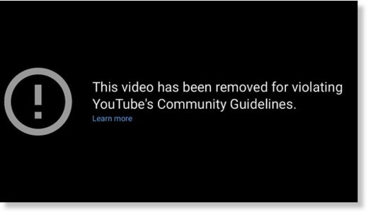 Click to enlarge YouTube removed “The Case Against Lockdowns”