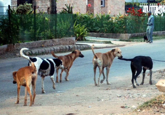 Photo for representation