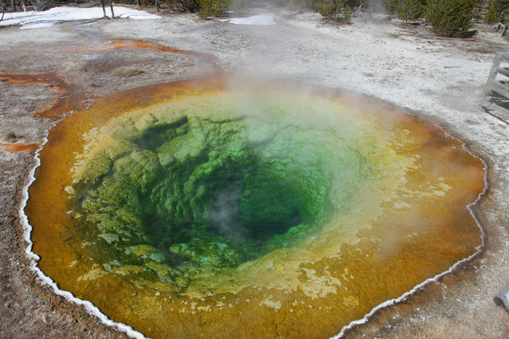 Click to enlarge Morning Glory Pool