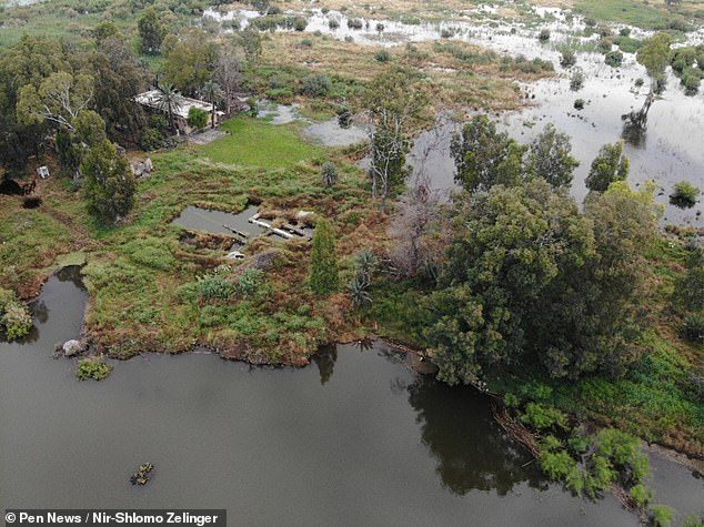 Click to enlarge Bethsaida flooded