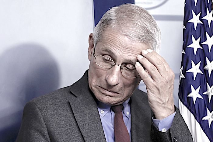 Click to enlarge Fauci