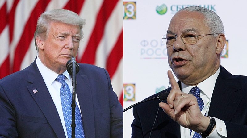 Trump Colin Powell