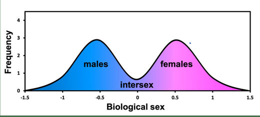 intersex chart 1