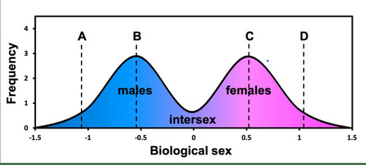 intersex chart 2