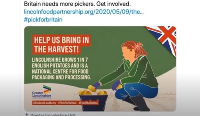 Click to enlarge UK food pickers wanted