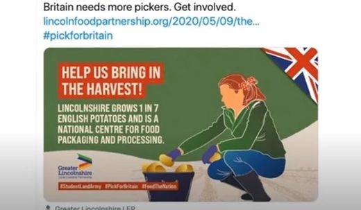 UK food pickers wanted