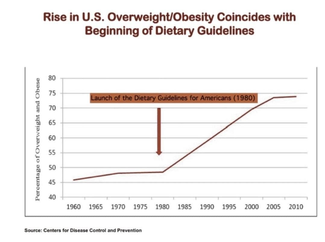 obesity dietary guidelines