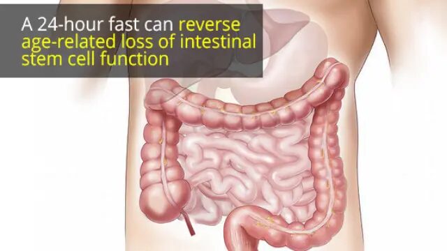 fasting