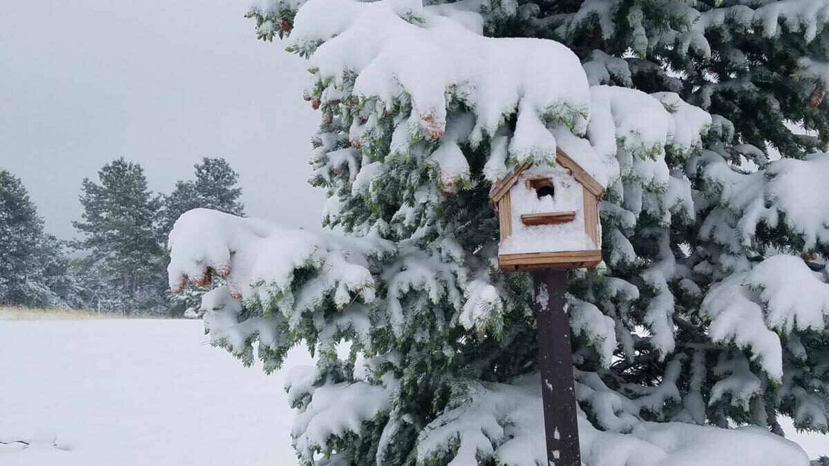 snow