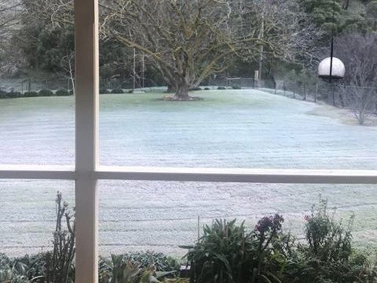 Donna Buss's frosty yard in Cudlee Creek