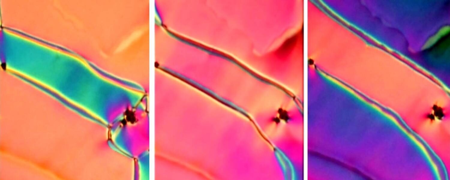 Liquid Crystal