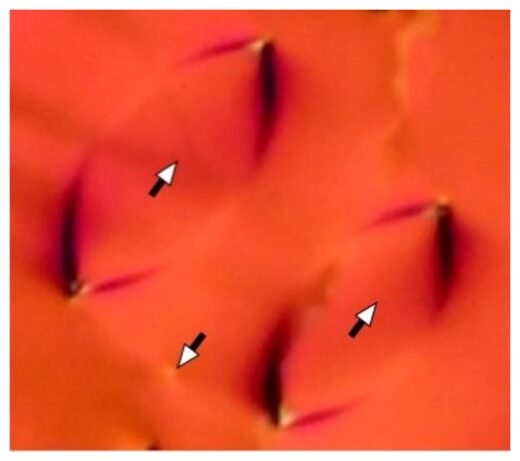 Click to enlarge New phase of liquid crystal
