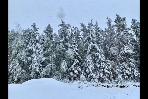 Parts of northwestern Ontario receive 10 cm of June snow