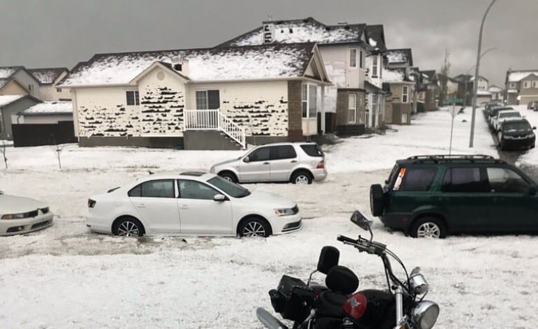 hail covering