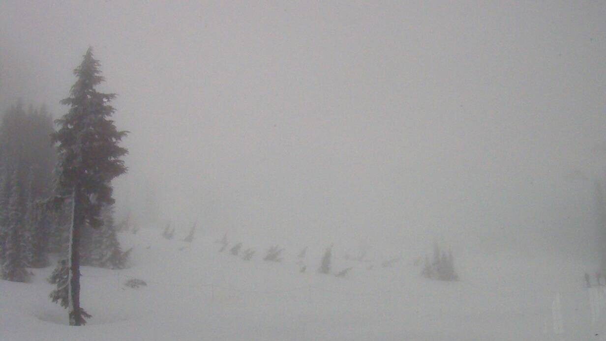 snow on Mt. Rainier.