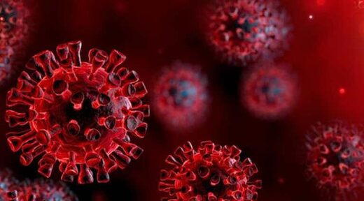 Norwegian scientist claims coronavirus was lab-made and 'not natural in origin'