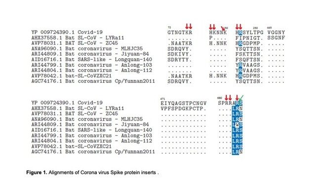 Click to enlarge Virus Sequences