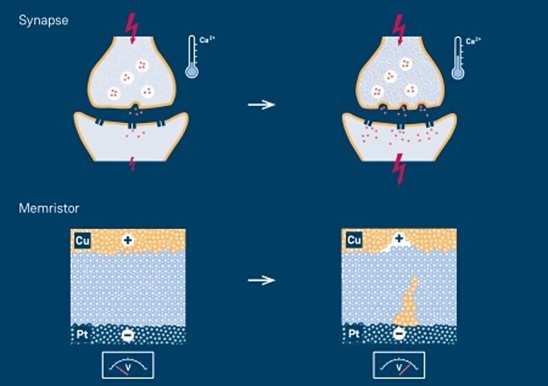Click to enlarge memristor synapse comparison
