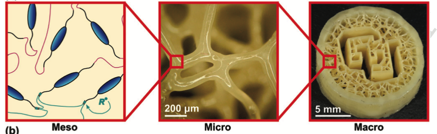 Click to enlarge mimic cartilage 3d printing