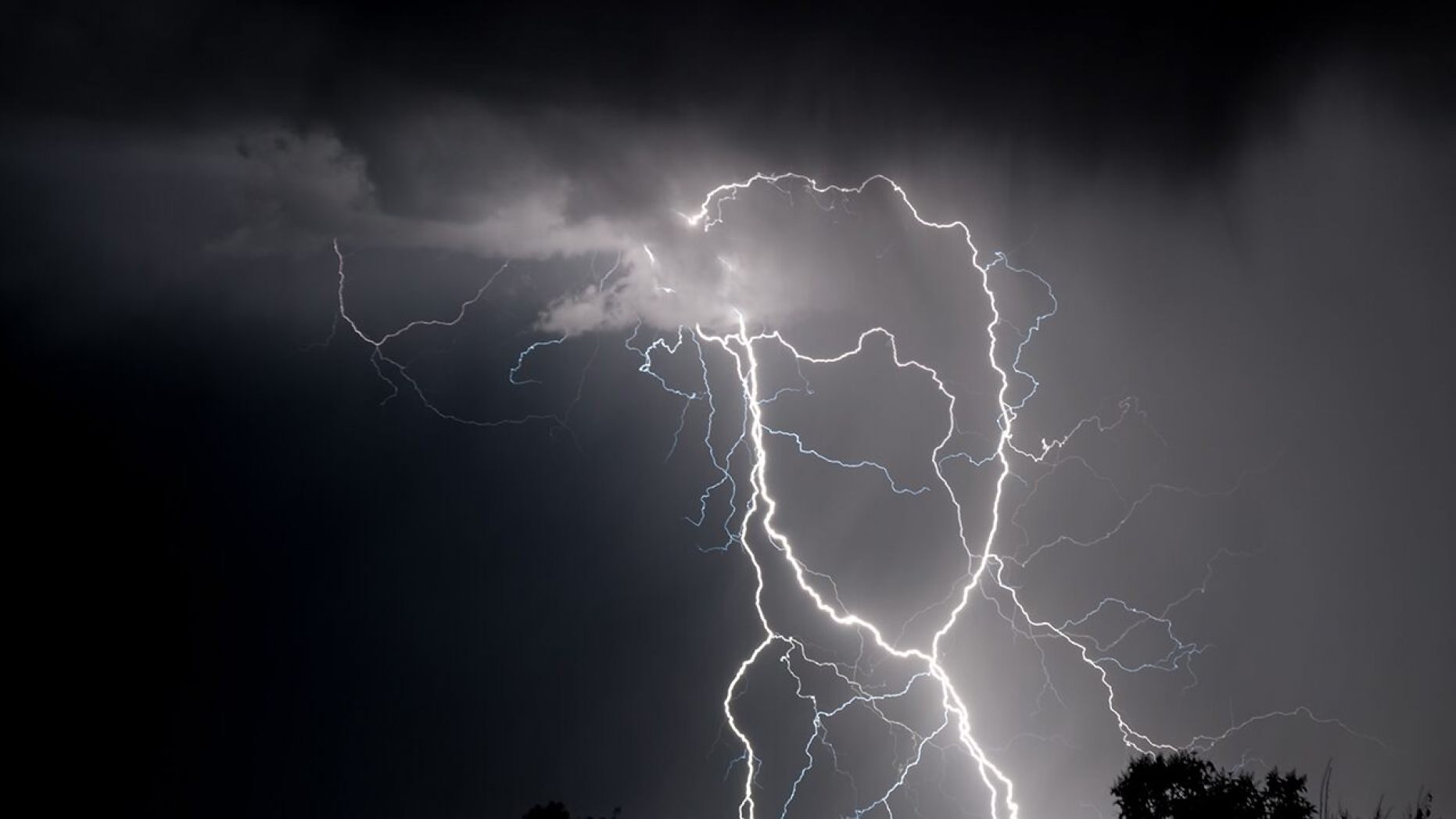 A 44-year-old Germany politician was killed in a lightning strike over the weekend.