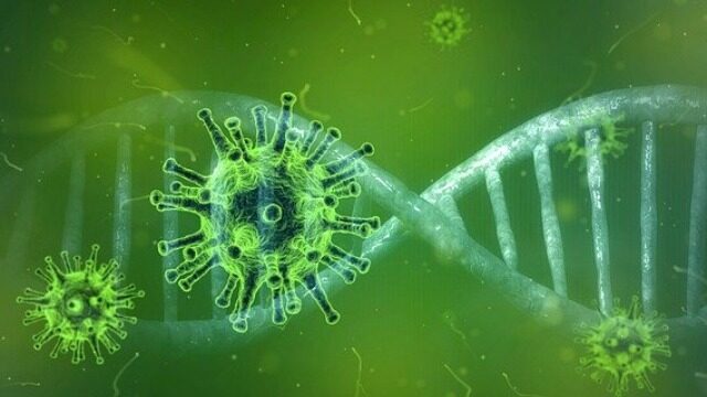 coronavirus, mutations coronavirus