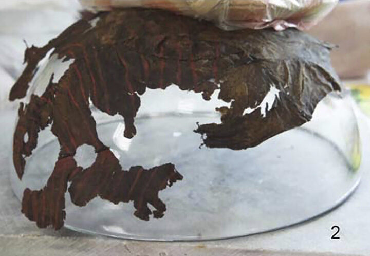 Scythian