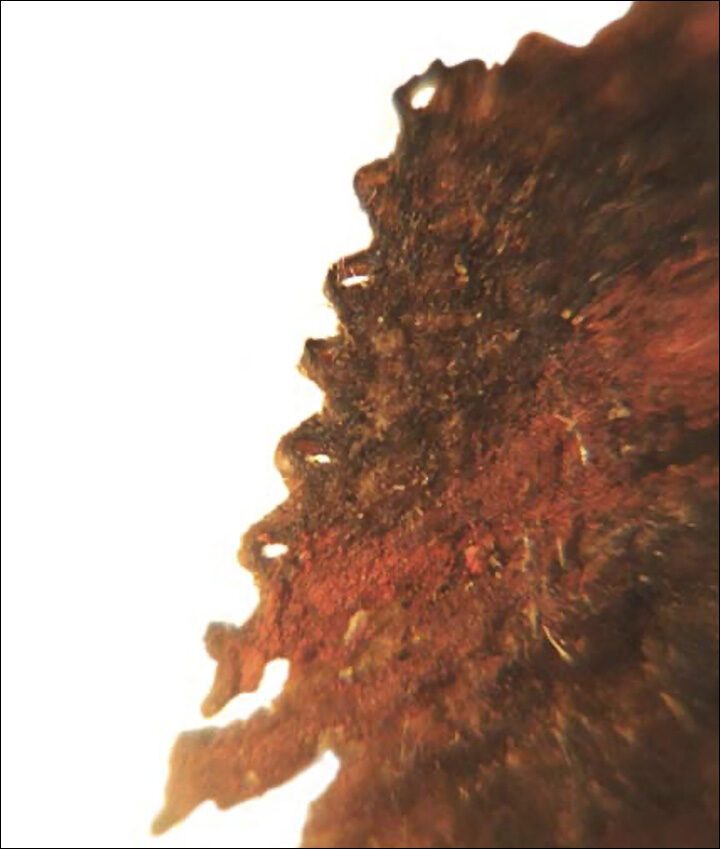 Scythian