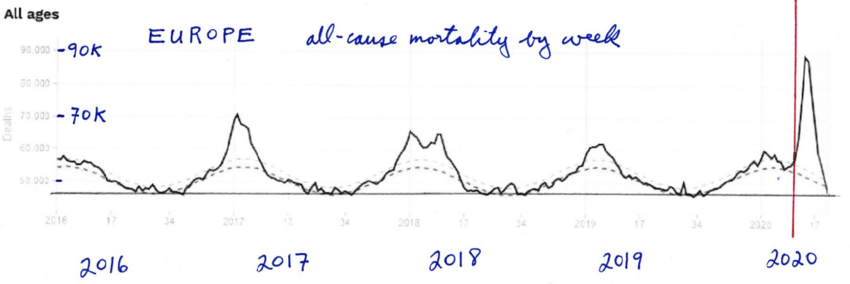Click to enlarge mortality rate EU covid-19