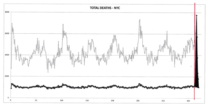 Click to enlarge NYC deaths covid-19 graph
