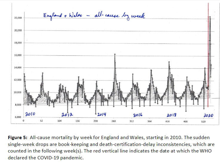 coronavirus covid- mortality rates