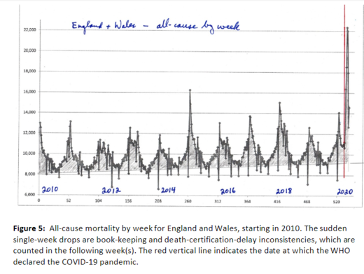coronavirus covid- mortality rates