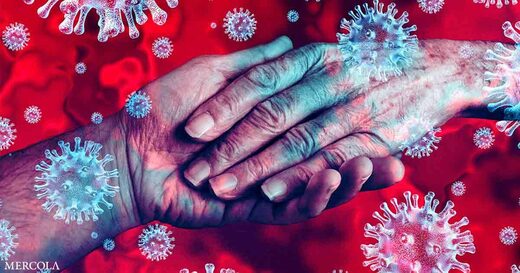 coronavirus nursing homes covid-19