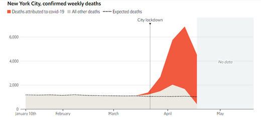 new york city lockdown deaths