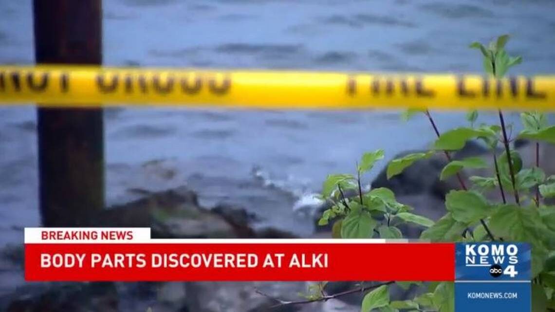 human remains found seattle