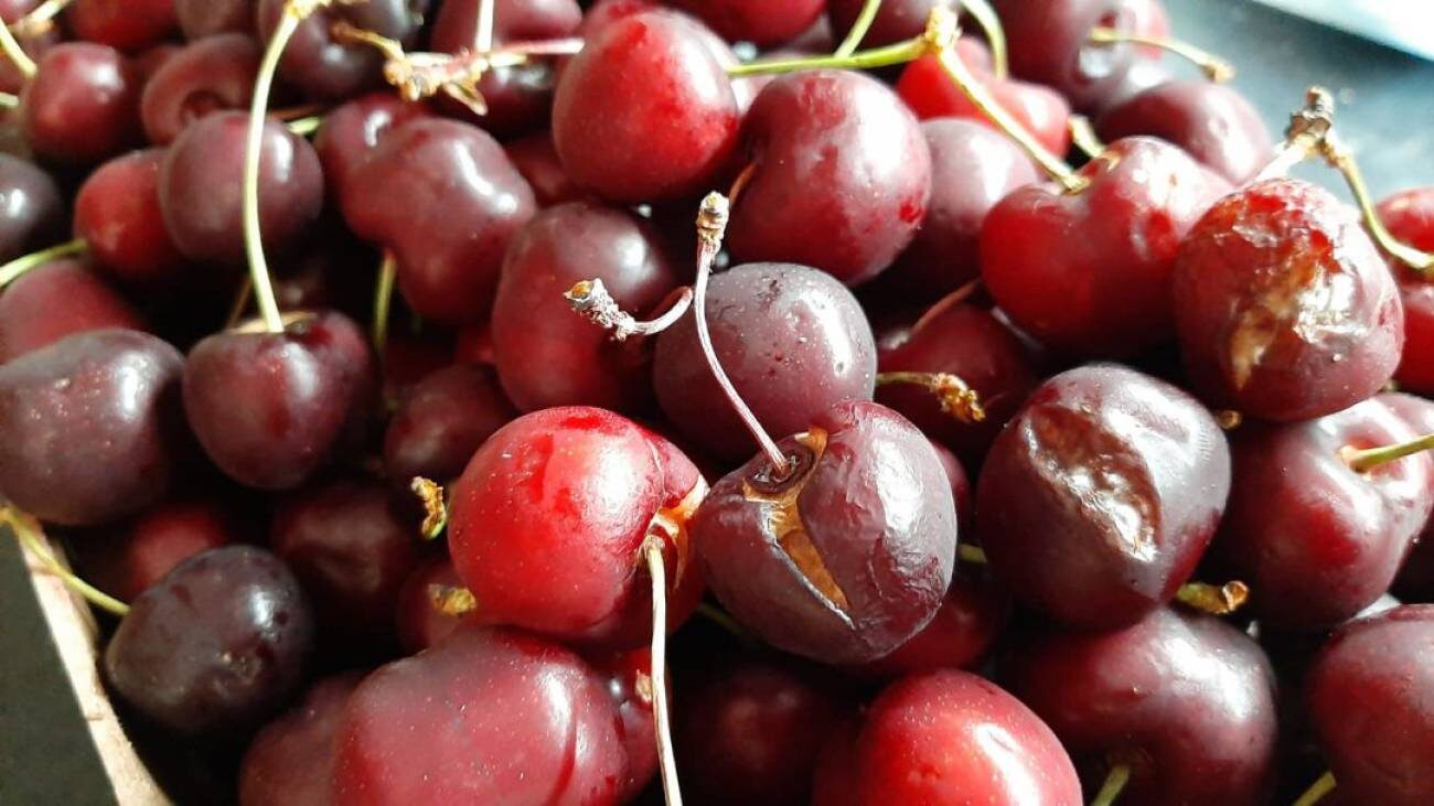 cherries