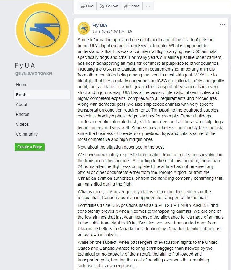 Fly UIA dogs