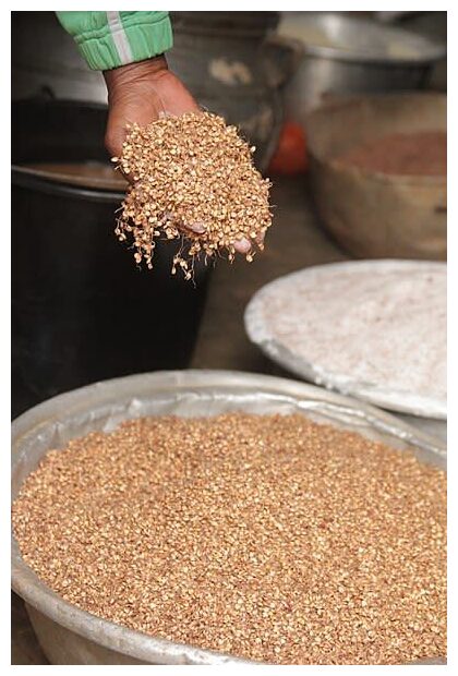 Click to enlarge Sorghum Commons