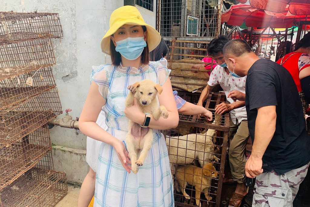 dog market china