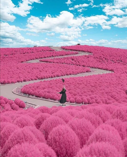Click to enlarge What color is it?